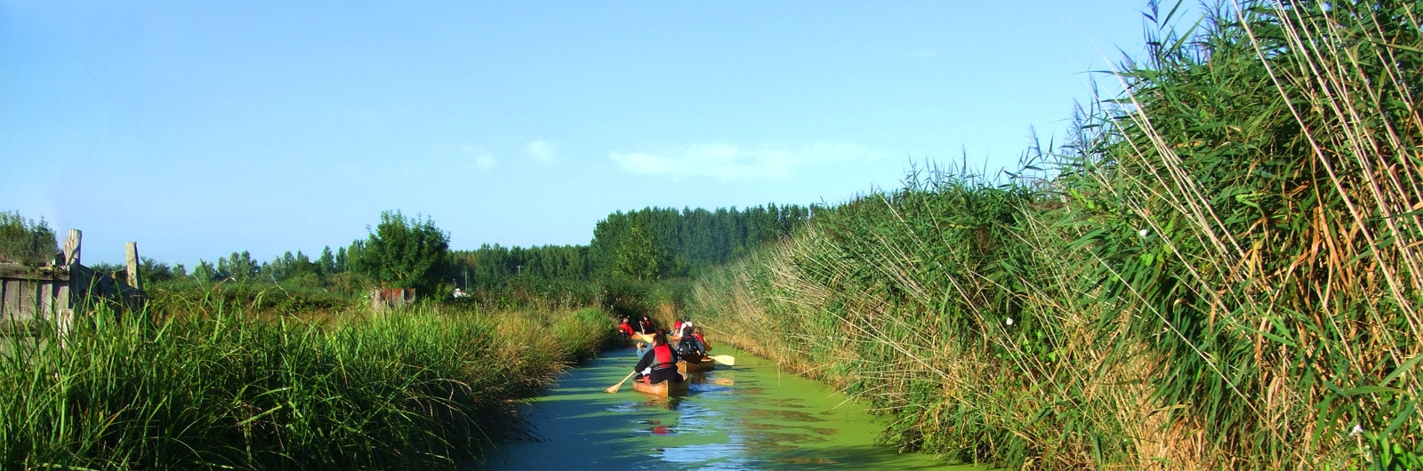 La Route du Sel Location de canoës et randonnées à Sallertaine